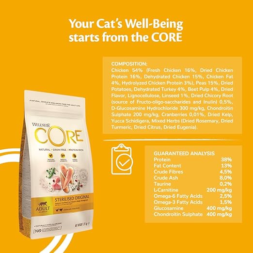 Wellness CORE Sterilised Original, Dry Cat Food, Cat Food Dry Sterilised Cats, Grain Free, High Meat Content, Turkey & Chicken, 300 G