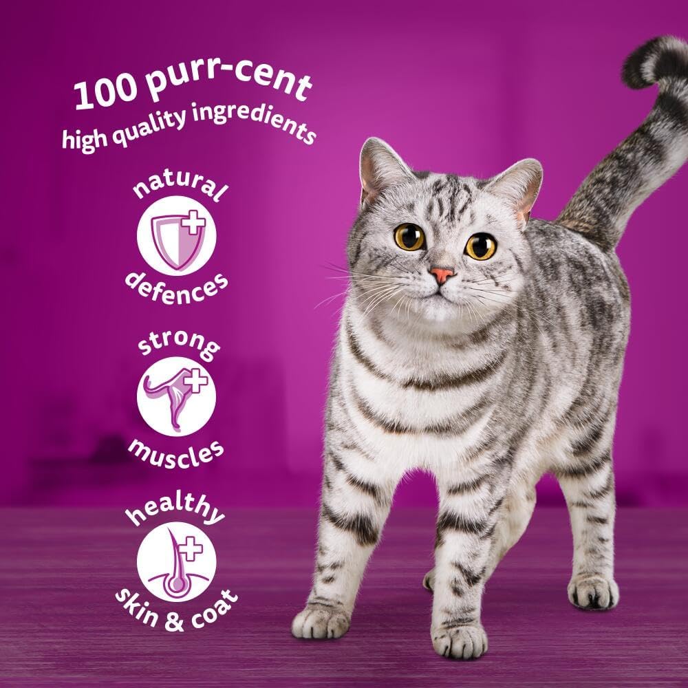 Whiskas 1+ Adult Poultry Selection in Jelly 40 Pouches, Adult Wet Cat Food, Megapack (40 x 85 g)