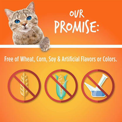 Fruitables Crunchy Treats For Cats – Healthy Low Calorie Treats Packed with Protein – Free of Wheat, Corn and Soy – Made with Real Tuna with Pumpkin – 2.5 Ounces