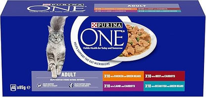 PURINA ONE Mini Fillets Mixed Selection in Gravy Wet Cat Food 40x85g