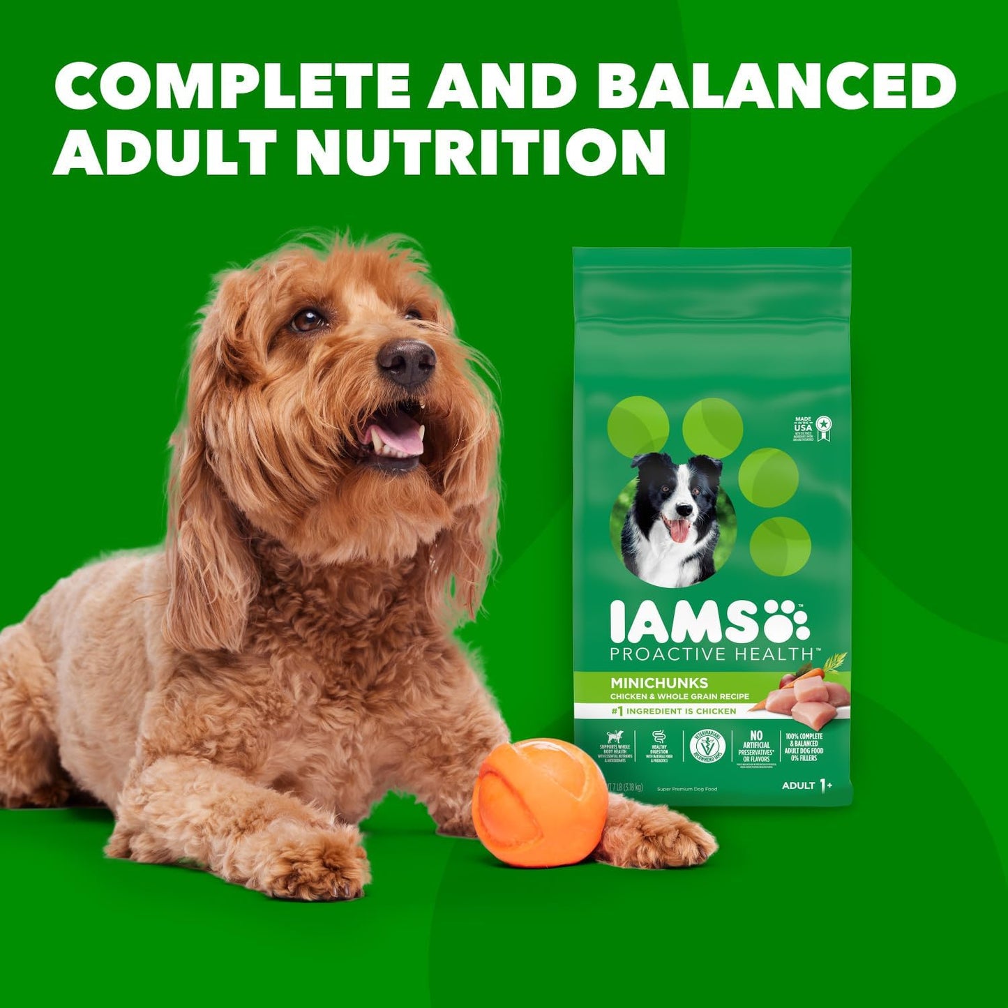 IAMS Proactive Health Minichunks Adult Dry Dog Food with Real Chicken and Whole Grains, 15 lb. Bag