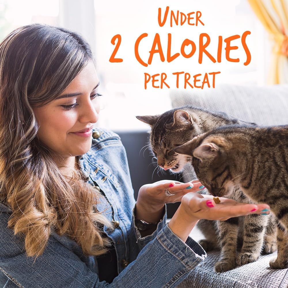 Fruitables Crunchy Treats For Cats – Healthy Low Calorie Treats Packed with Protein – Free of Wheat, Corn and Soy – Made with Real Tuna with Pumpkin – 2.5 Ounces