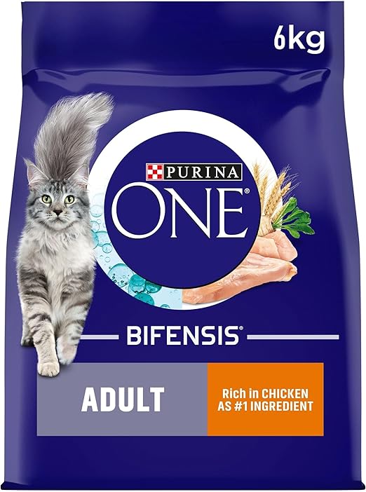 Purina ONE Adult Dry Cat Food Rich in Chicken 6kg, Packaging may vary