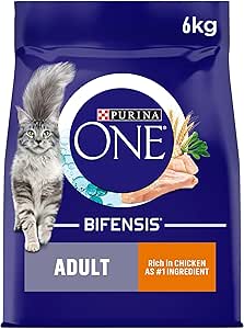 Purina ONE Adult Dry Cat Food Rich in Chicken 6kg, Packaging may vary