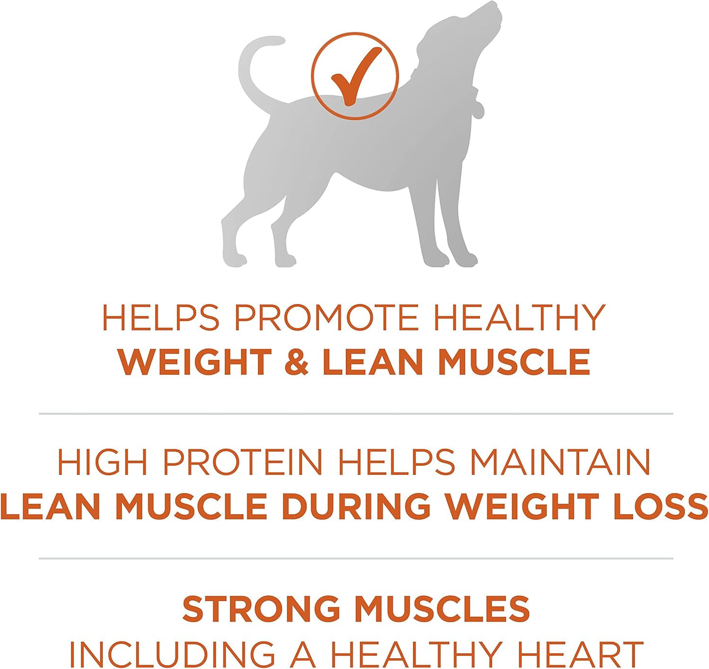 Purina ONE Plus Healthy Weight High-Protein Dog Food Dry Formula - 40 lb. Bag