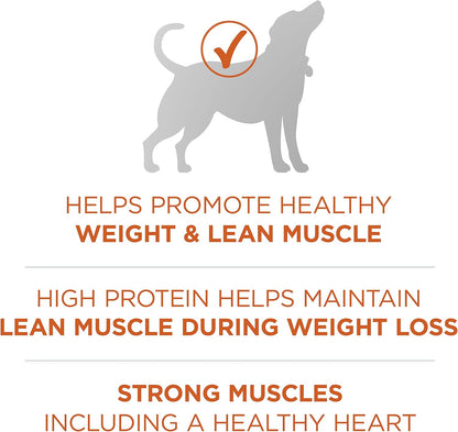 Purina ONE Plus Healthy Weight High-Protein Dog Food Dry Formula - 40 lb. Bag