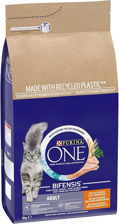 Purina ONE Adult Dry Cat Food Rich in Chicken 6kg, Packaging may vary