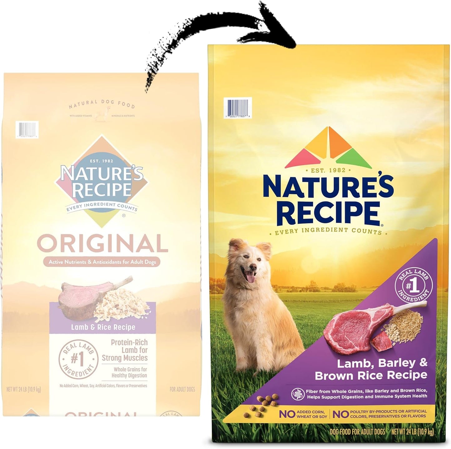 Nature′s Recipe Lamb, Barley & Brown Rice Recipe Dry Dog Food, 24 lb. Bag