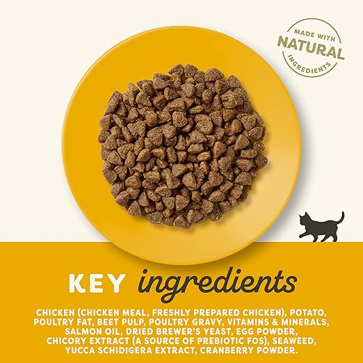 Applaws Complete and Grain Free Dry Kitten Food, Kitten Chicken for all Cats, 2 kg Bag (Pack of 1)